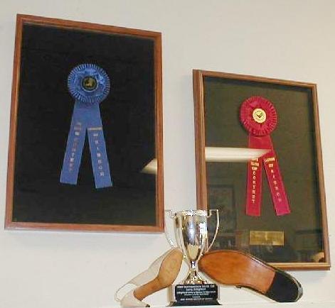 SSIA awards collection